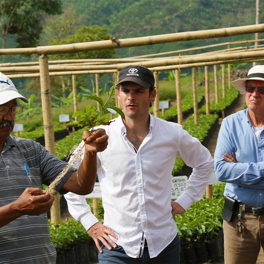 Farmers of Colombian Exotic Coffee