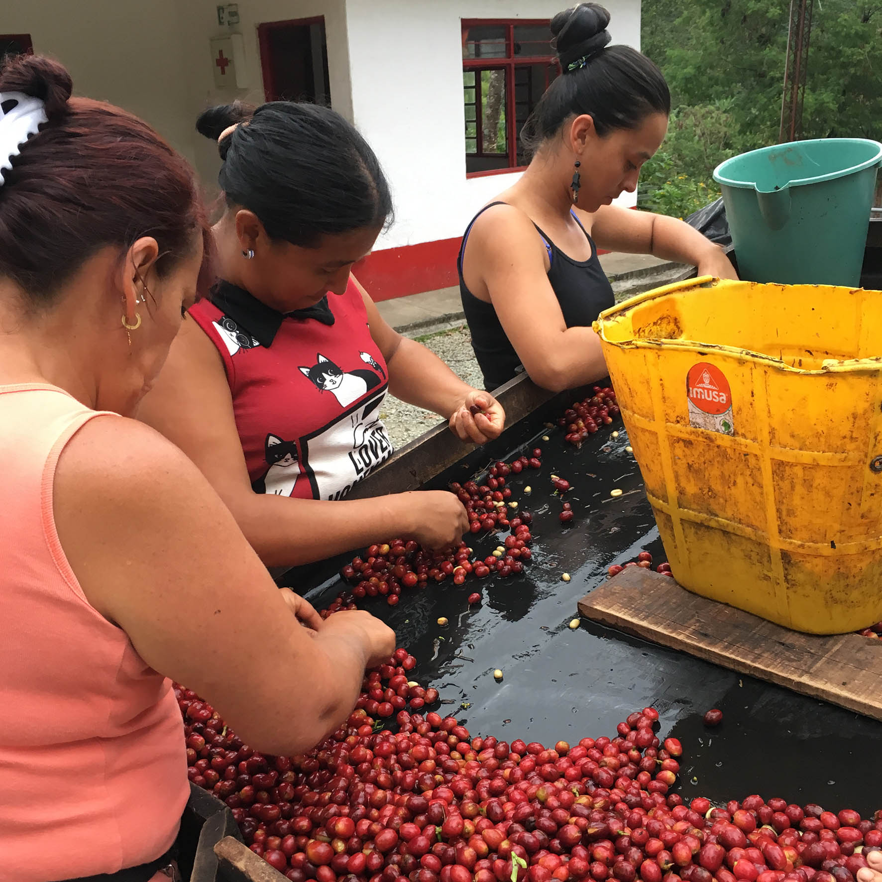 Colombian Exotic Coffee sustainability_4